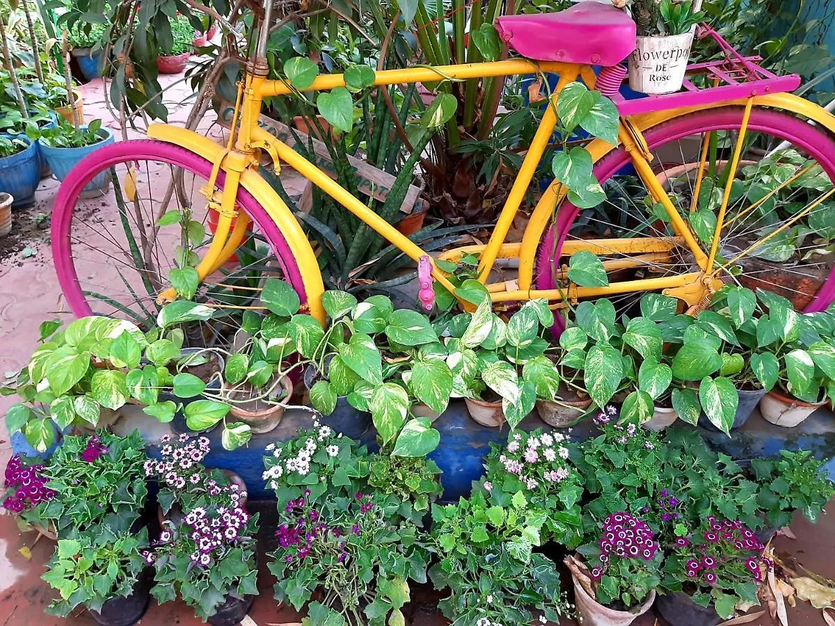 The Coral House Homestay By The Taj Agra  Agra (Uttar Pradesh)