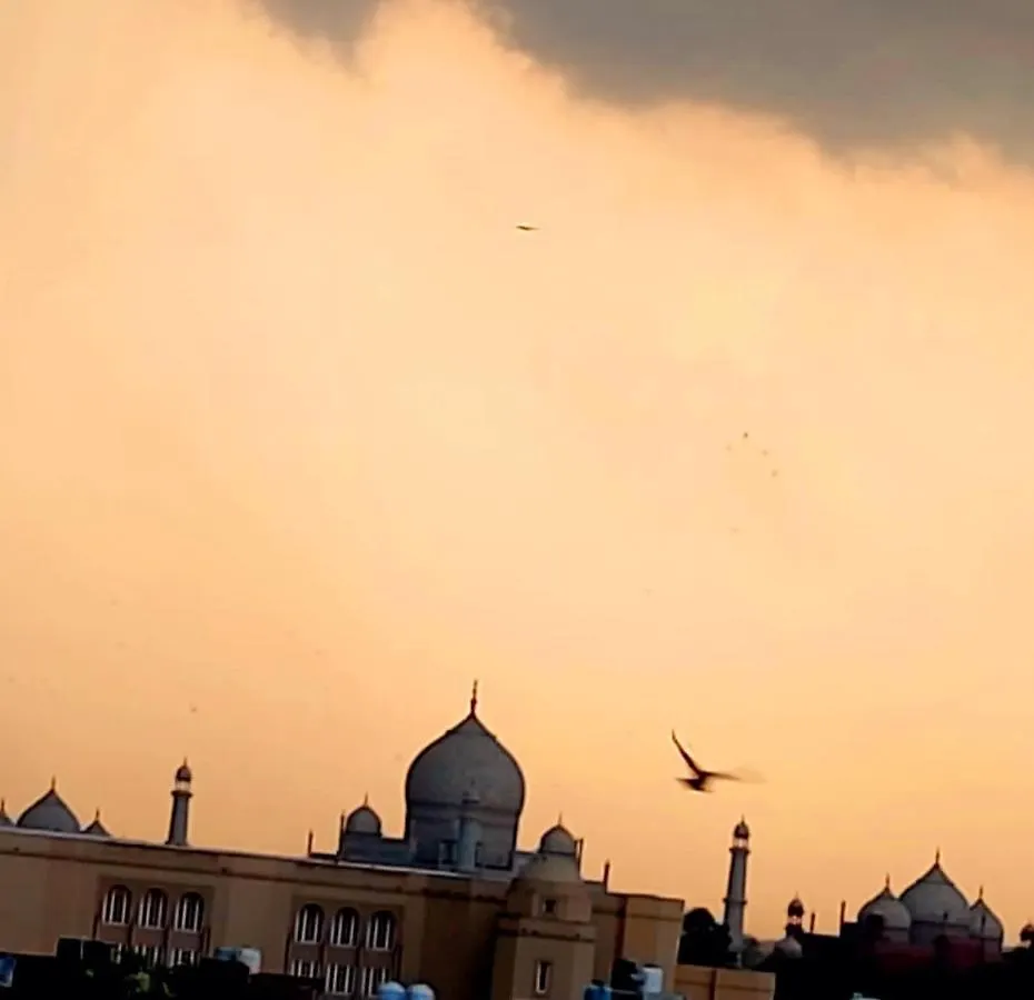 The Coral House Homestay By The Taj Agra  India