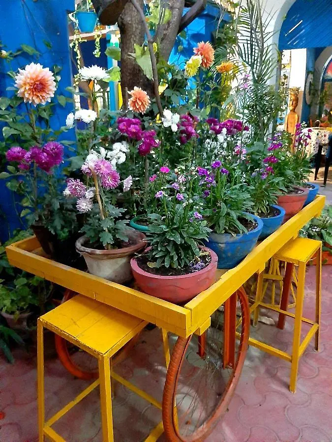 The Coral House Homestay By The Taj Agra  0*, Agra (Uttar Pradesh)