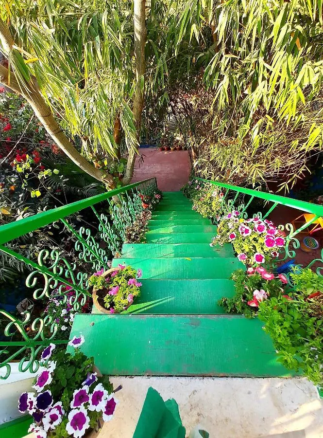 The Coral House Homestay By The Taj Agra